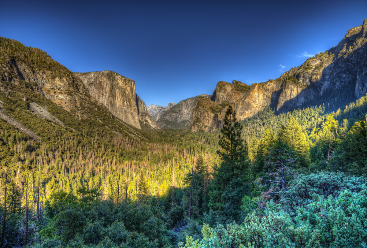 Capture Yosemite